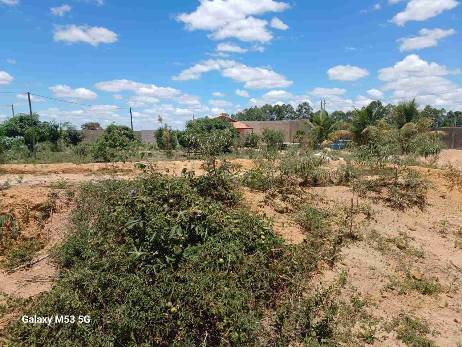 Sítio à Venda, zona Rural , São Sebastião do Passé, BA - foto 3