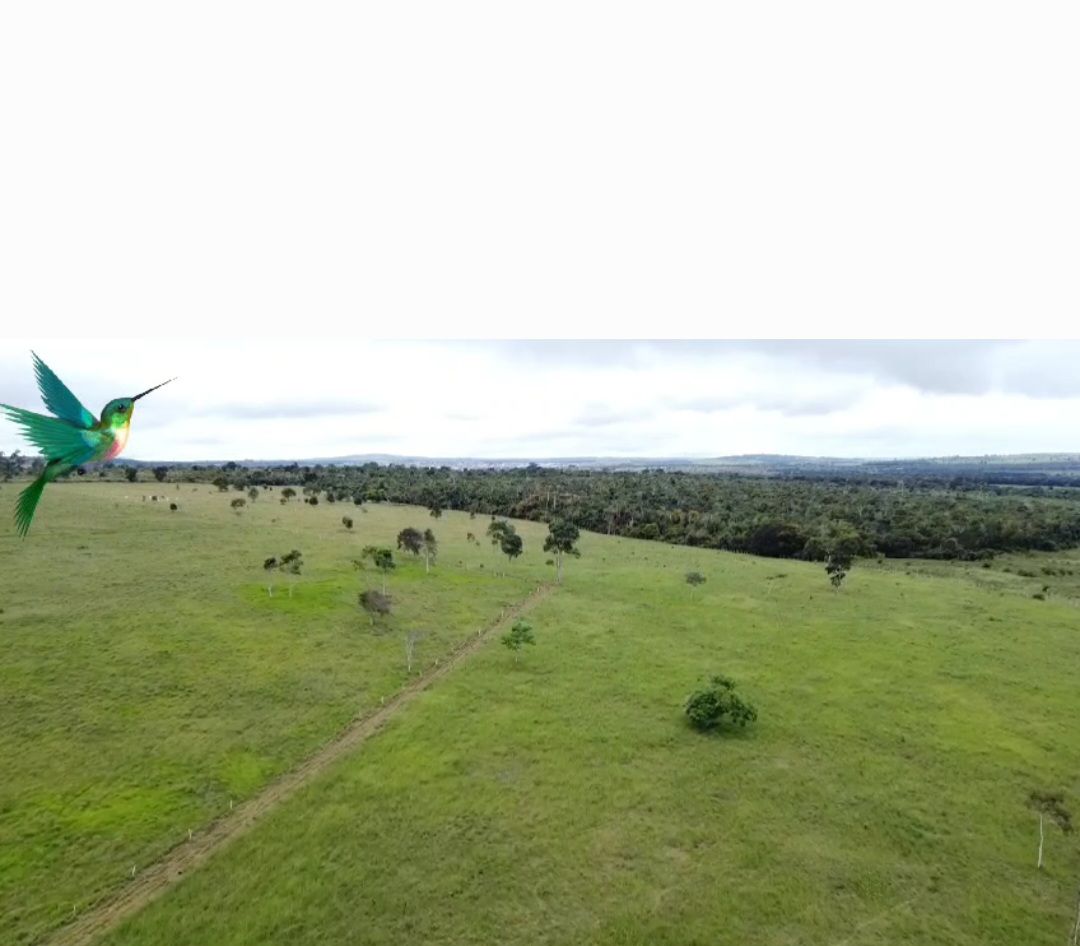 Otima Fazenda à Venda, Zona Rural , Barra do Choça, BA - foto 3