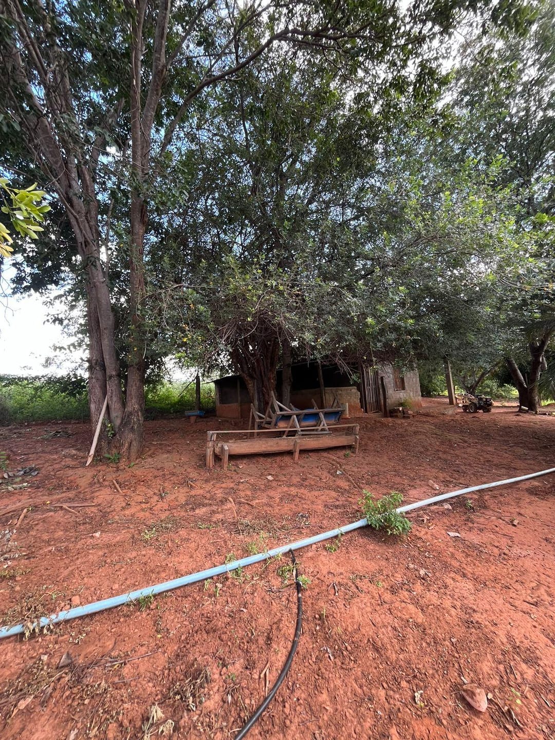 Excelente Sítio à Venda em Caraíbas – 3 Hectares, Casa e Estrutura Completa – Água em Abundância, Energia Trifásica e Documentação Regularizada - foto 26