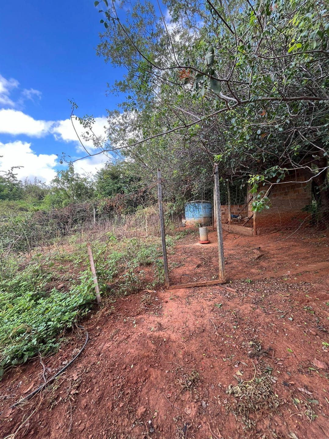 Excelente Sítio à Venda em Caraíbas – 3 Hectares, Casa e Estrutura Completa – Água em Abundância, Energia Trifásica e Documentação Regularizada - foto 27