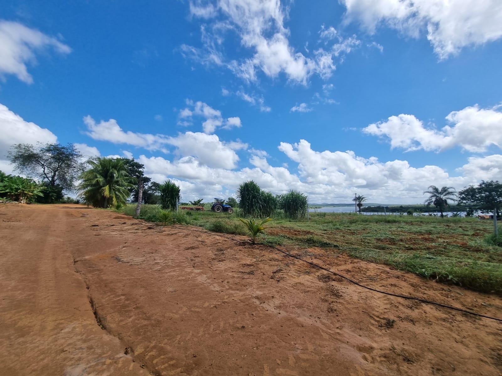 Excelente Sítio à Venda em Caraíbas – 3 Hectares, Casa e Estrutura Completa – Água em Abundância, Energia Trifásica e Documentação Regularizada - foto 28