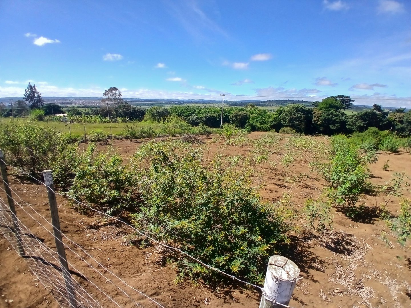 Lote 1000m² em Barra do Choça Ba. - foto 2