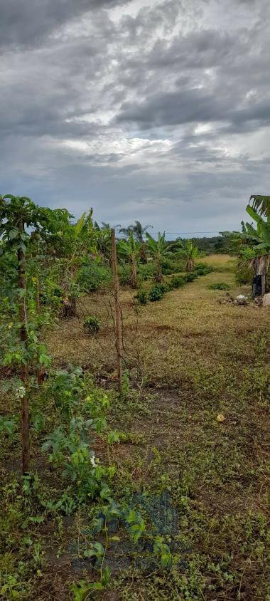 Vende-se Chácara na Zona Rural em Barra do Choça - foto 2