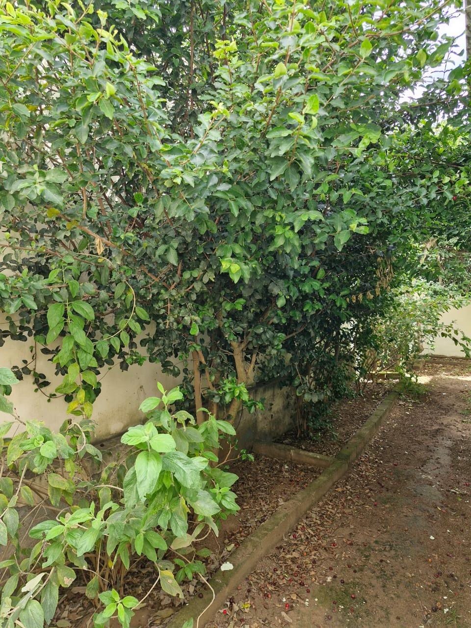 Casa em Condomínio à venda, Alto do Boa Vista Bairro Boa Vista Vitória da Conquista, BA - foto 29