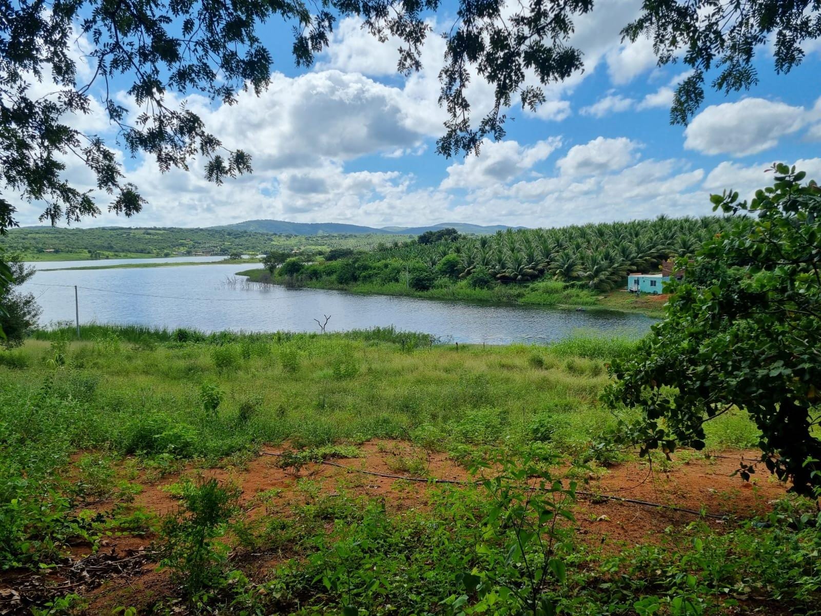 Excelente Sítio à Venda em Caraíbas – 3 Hectares, Casa e Estrutura Completa – Água em Abundância, Energia Trifásica e Documentação Regularizada - foto 30