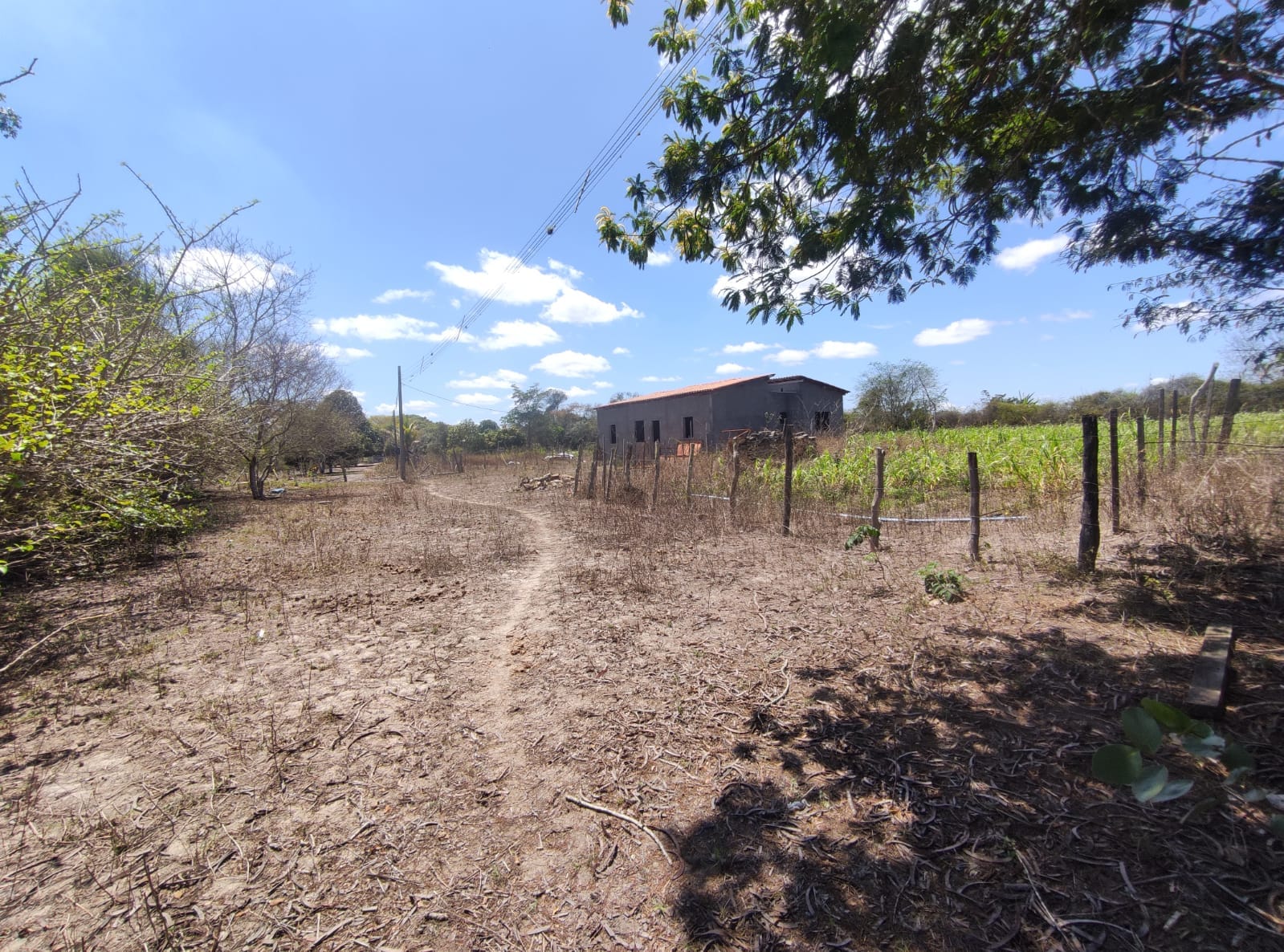 Sítio a venda na Lagoa das Flores com 2 casas, árvores frutíferas, poço artesiano, irrigação, baías para cavalos, tanque de peixe. Pertinho da ci - foto 31