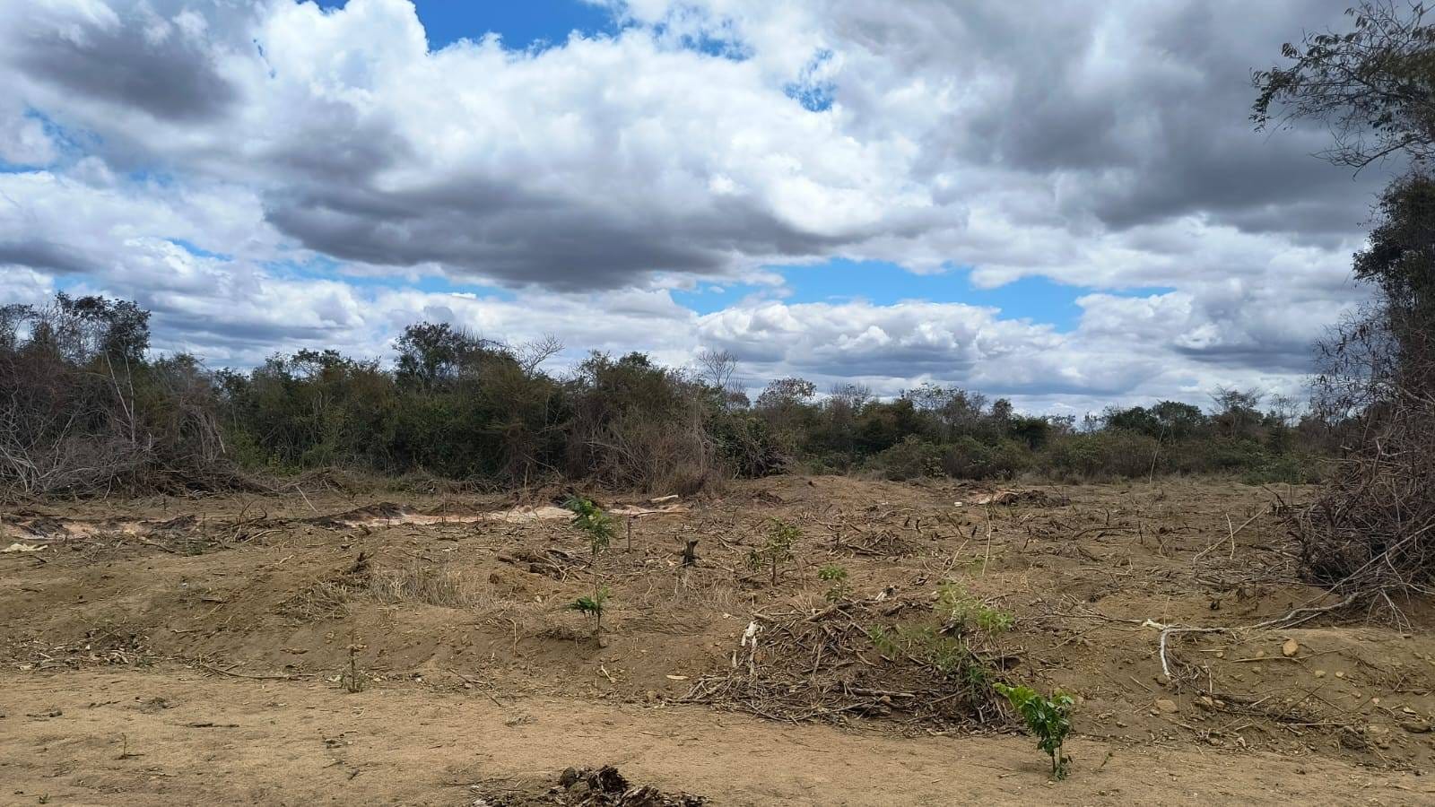 VENDO OU TROCO - ÁREA 1.170mts - Lot. Alto da Universidade (Prox UESB) - foto 4