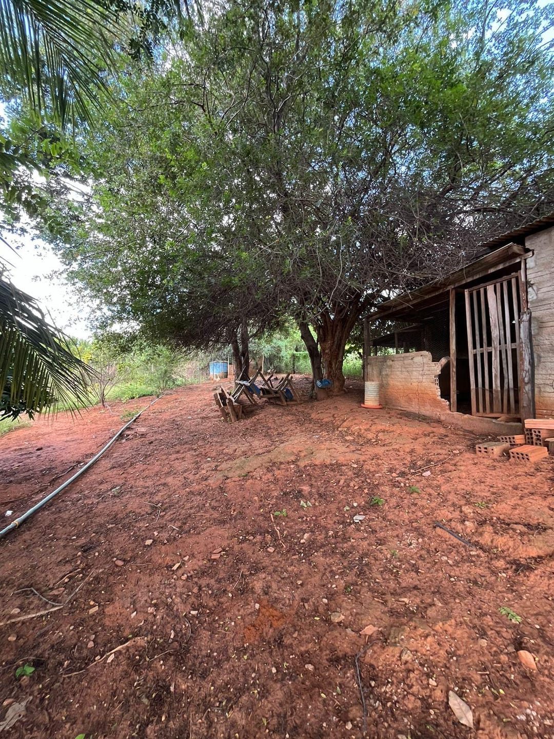 Excelente Sítio à Venda em Caraíbas – 3 Hectares, Casa e Estrutura Completa – Água em Abundância, Energia Trifásica e Documentação Regularizada - foto 32