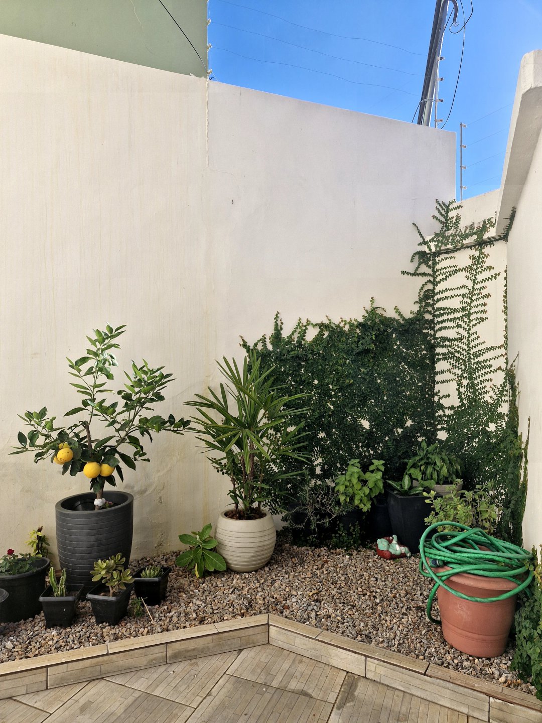 Casa à venda em Brumado 3/4 sendo uma suíte - foto 31