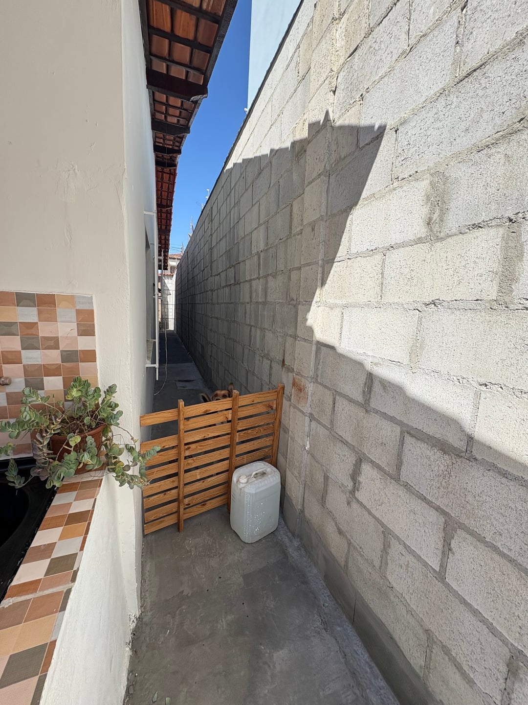 Casa térrea de 3 quartos sendo 1 suite com quintal grande no Ibirapuera, Vitória da Conquista Bahia - foto 32