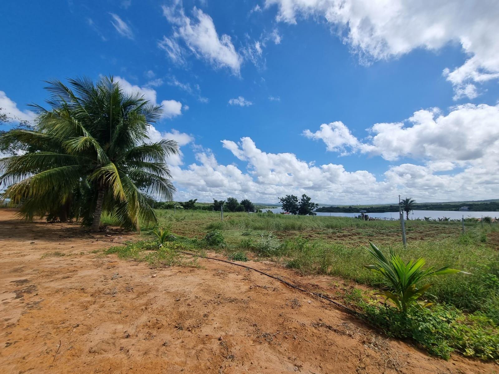 Excelente Sítio à Venda em Caraíbas – 3 Hectares, Casa e Estrutura Completa – Água em Abundância, Energia Trifásica e Documentação Regularizada - foto 33