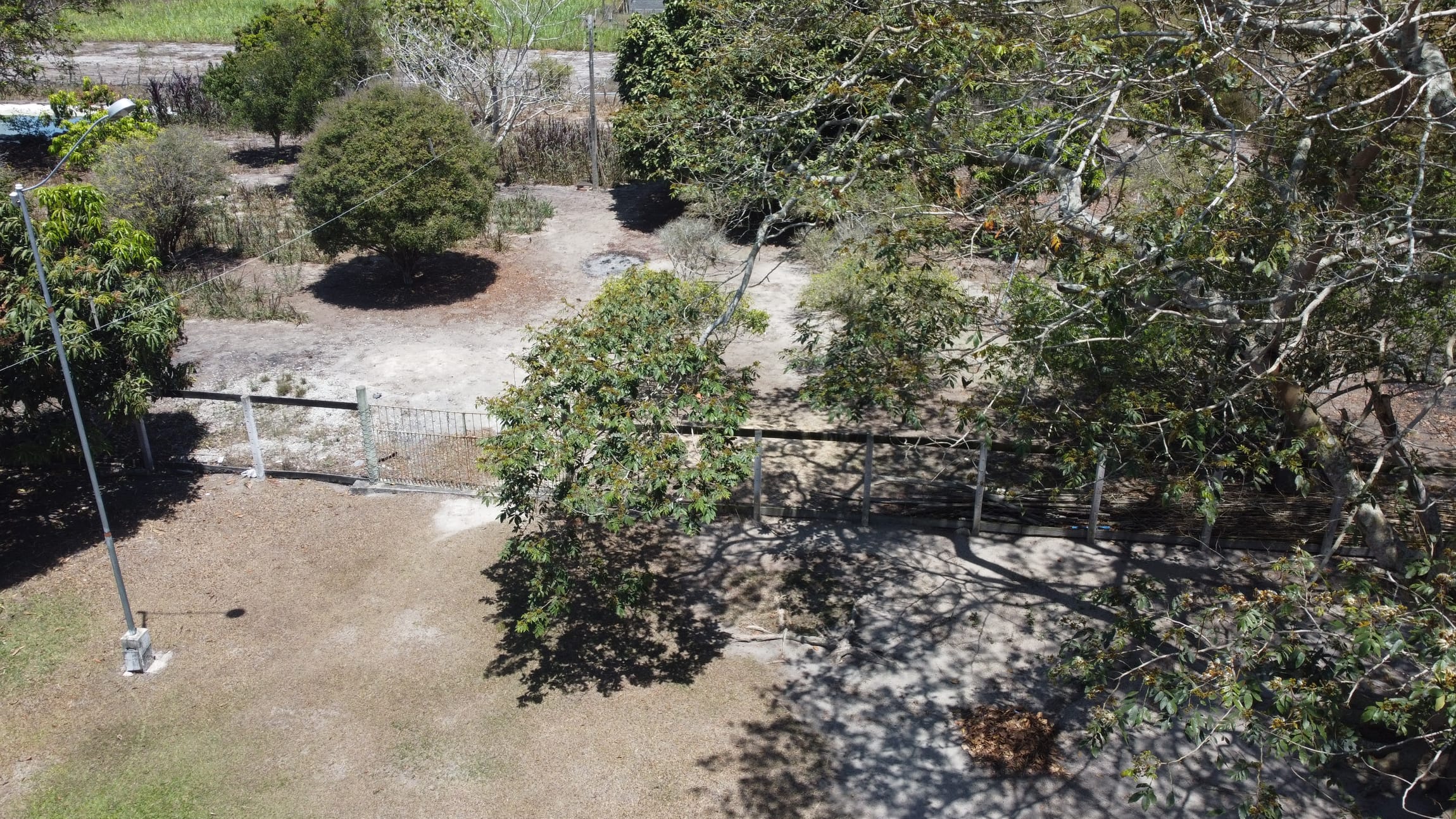 Sítio a venda na Lagoa das Flores com 2 casas, árvores frutíferas, poço artesiano, irrigação, baías para cavalos, tanque de peixe. Pertinho da ci - foto 34