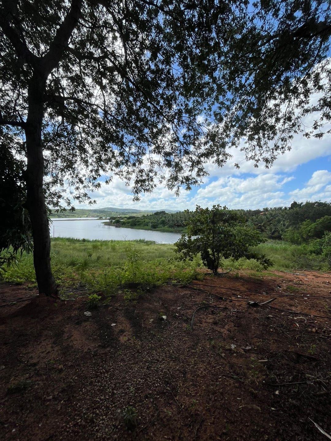 Excelente Sítio à Venda em Caraíbas – 3 Hectares, Casa e Estrutura Completa – Água em Abundância, Energia Trifásica e Documentação Regularizada - foto 34