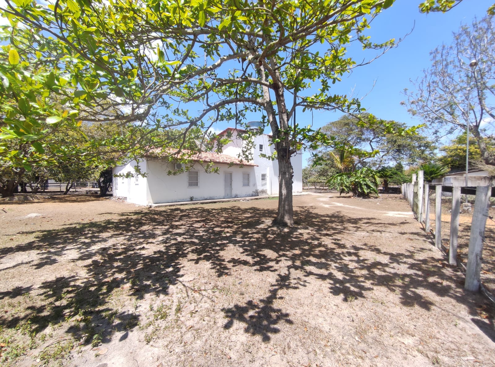 Sítio a venda na Lagoa das Flores com 2 casas, árvores frutíferas, poço artesiano, irrigação, baías para cavalos, tanque de peixe. Pertinho da ci - foto 4