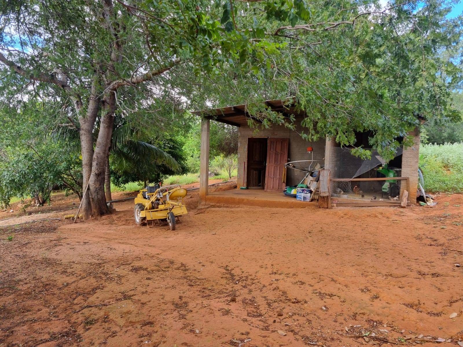 Excelente Sítio à Venda em Caraíbas – 3 Hectares, Casa e Estrutura Completa – Água em Abundância, Energia Trifásica e Documentação Regularizada - foto 35