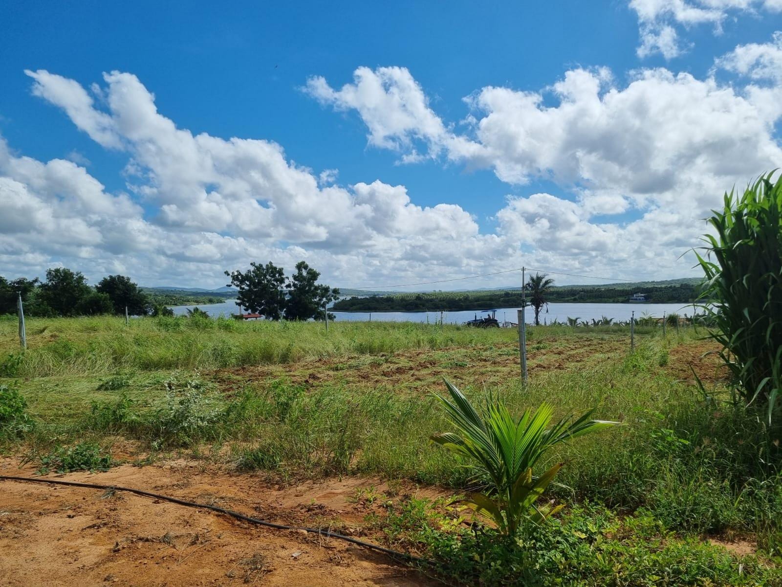 Excelente Sítio à Venda em Caraíbas – 3 Hectares, Casa e Estrutura Completa – Água em Abundância, Energia Trifásica e Documentação Regularizada - foto 36