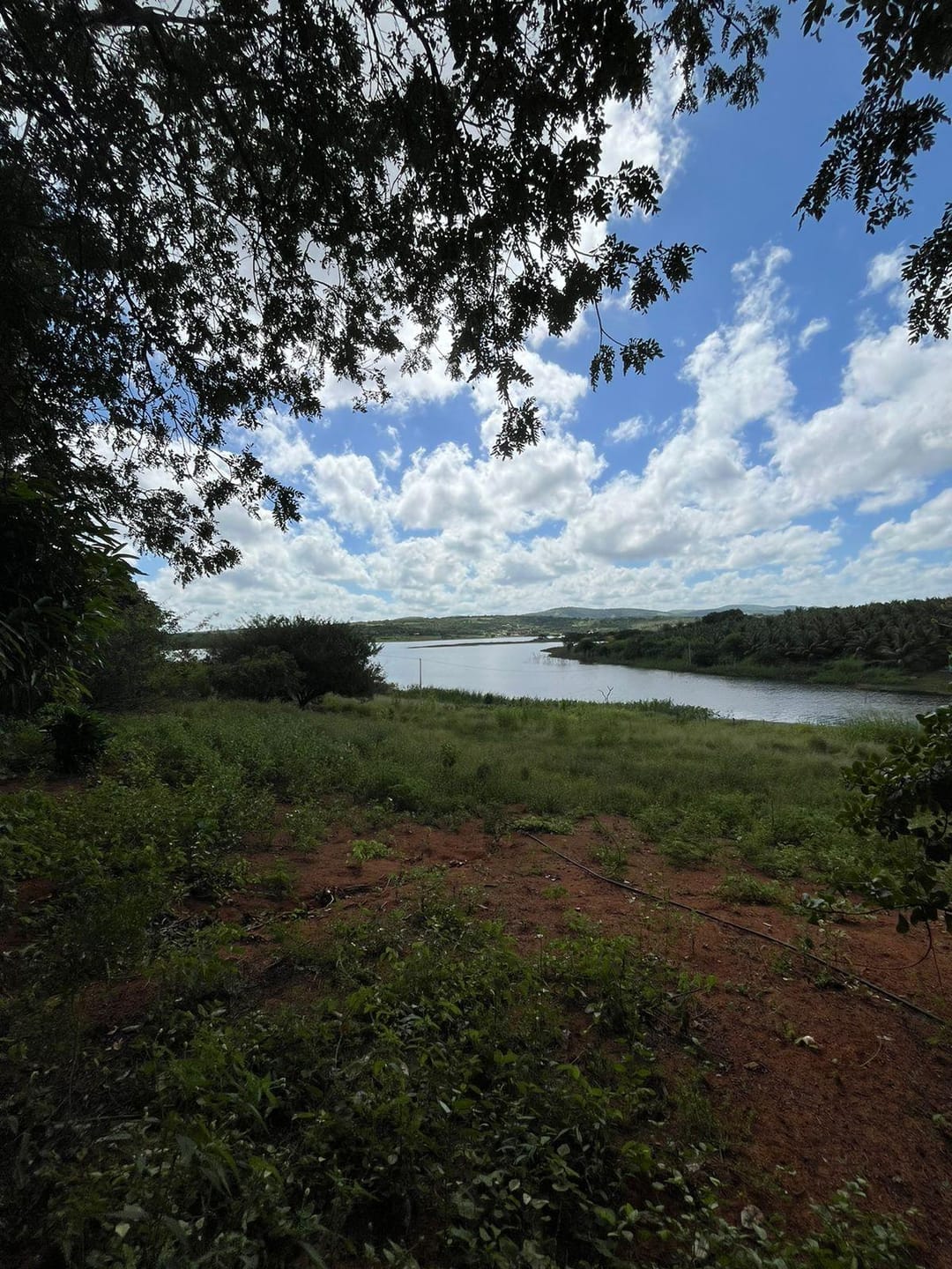 Excelente Sítio à Venda em Caraíbas – 3 Hectares, Casa e Estrutura Completa – Água em Abundância, Energia Trifásica e Documentação Regularizada - foto 37