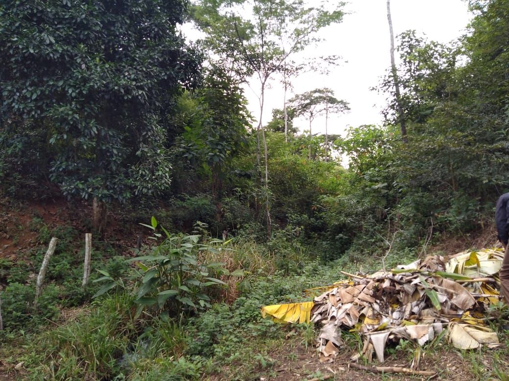 Fazenda 13,5 Hactare à Venda, Pau Brasil , Barra do Choça, BA - foto 4