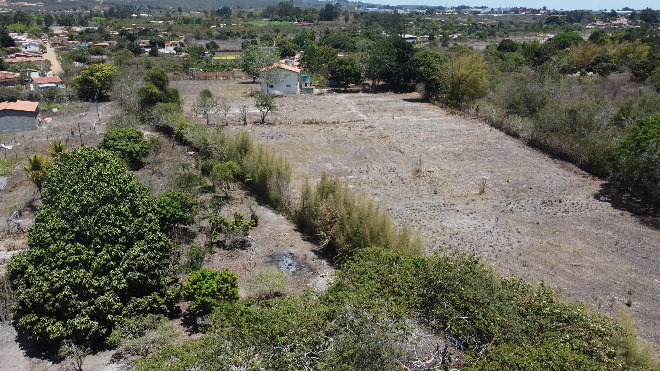 Sítio a venda na Lagoa das Flores com 2 casas, árvores frutíferas, poço artesiano, irrigação, baías para cavalos, tanque de peixe. Pertinho da ci - foto 37