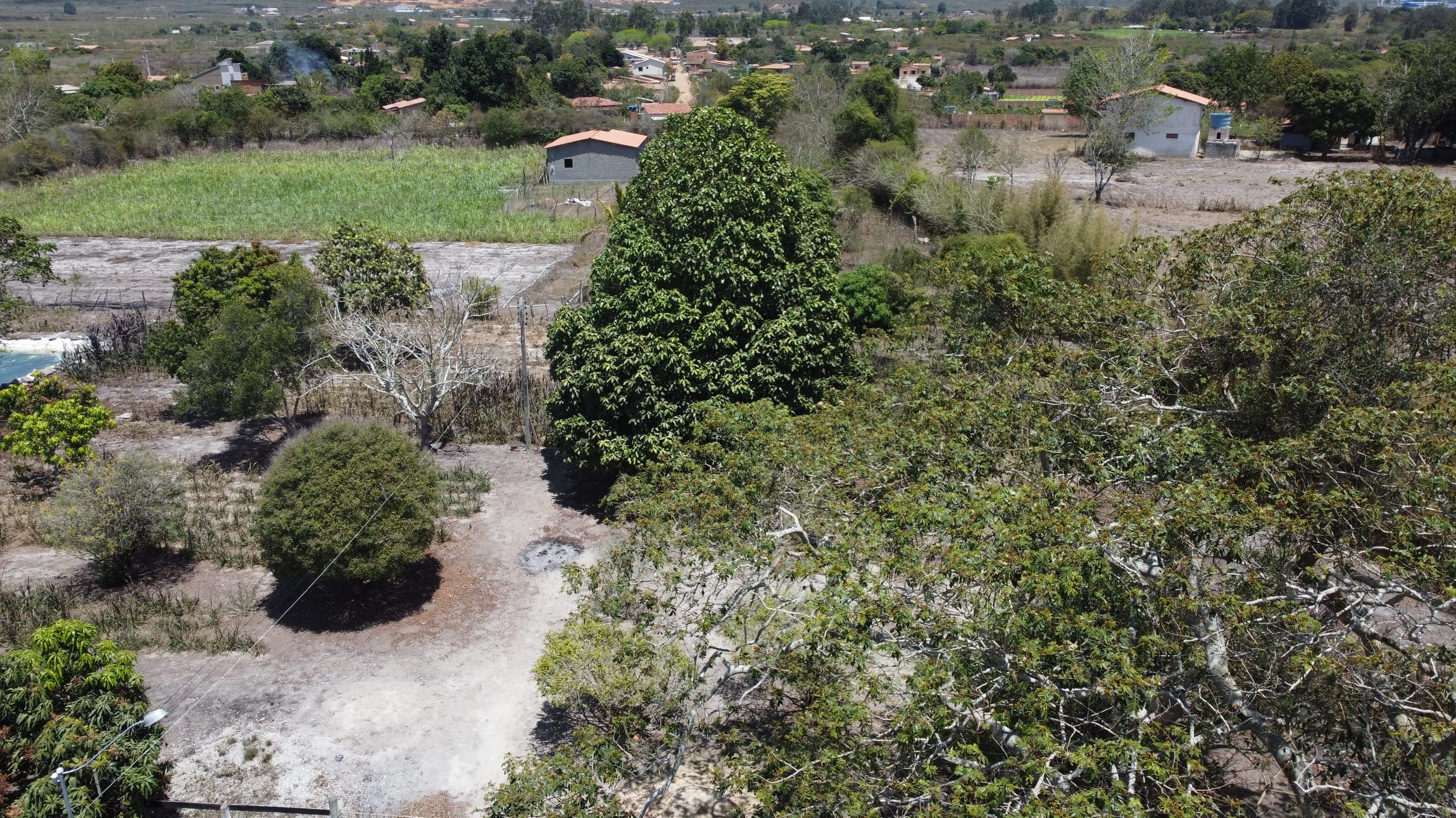 Sítio a venda na Lagoa das Flores com 2 casas, árvores frutíferas, poço artesiano, irrigação, baías para cavalos, tanque de peixe. Pertinho da ci - foto 38