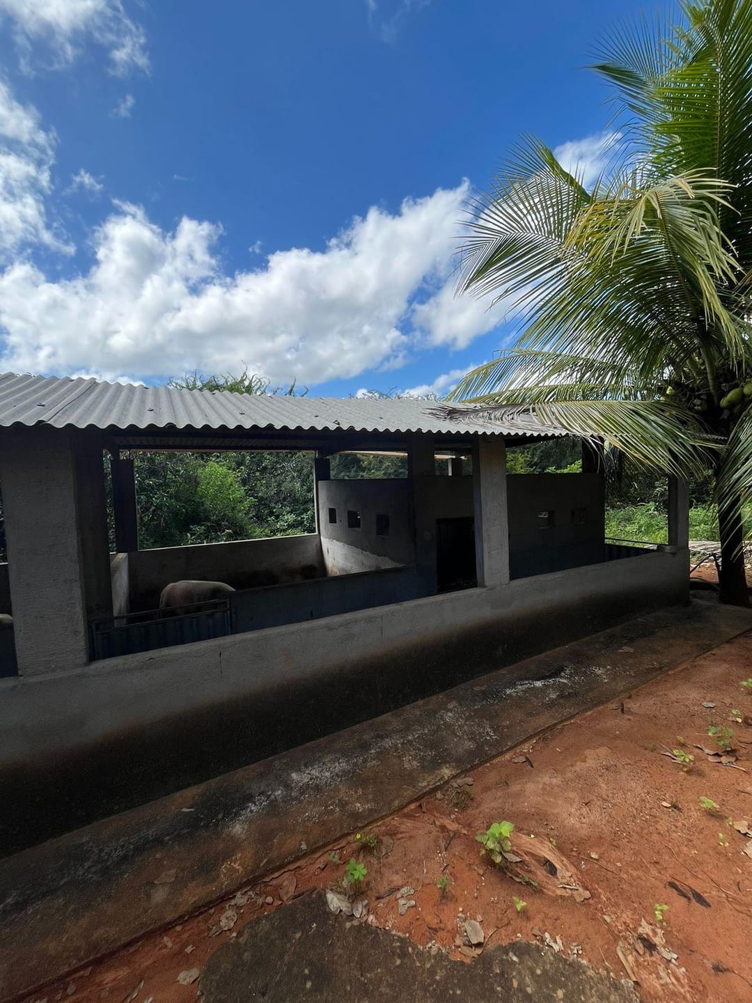 Excelente Sítio à Venda em Caraíbas – 3 Hectares, Casa e Estrutura Completa – Água em Abundância, Energia Trifásica e Documentação Regularizada - foto 39