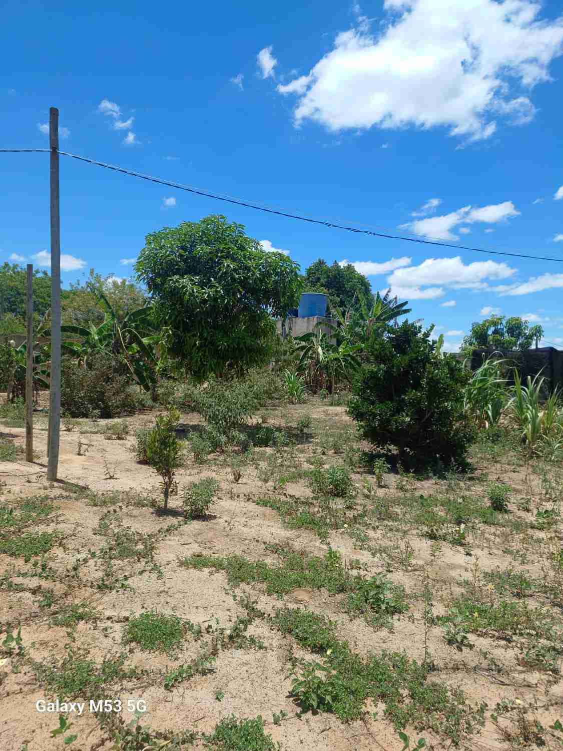 Sítio à Venda, zona Rural , São Sebastião do Passé, BA - foto 4
