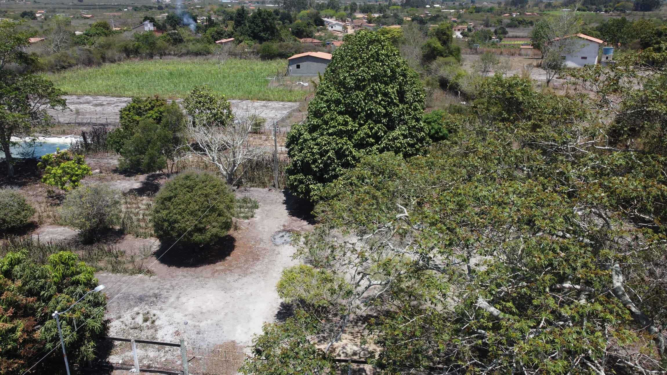 Sítio a venda na Lagoa das Flores com 2 casas, árvores frutíferas, poço artesiano, irrigação, baías para cavalos, tanque de peixe. Pertinho da ci - foto 39