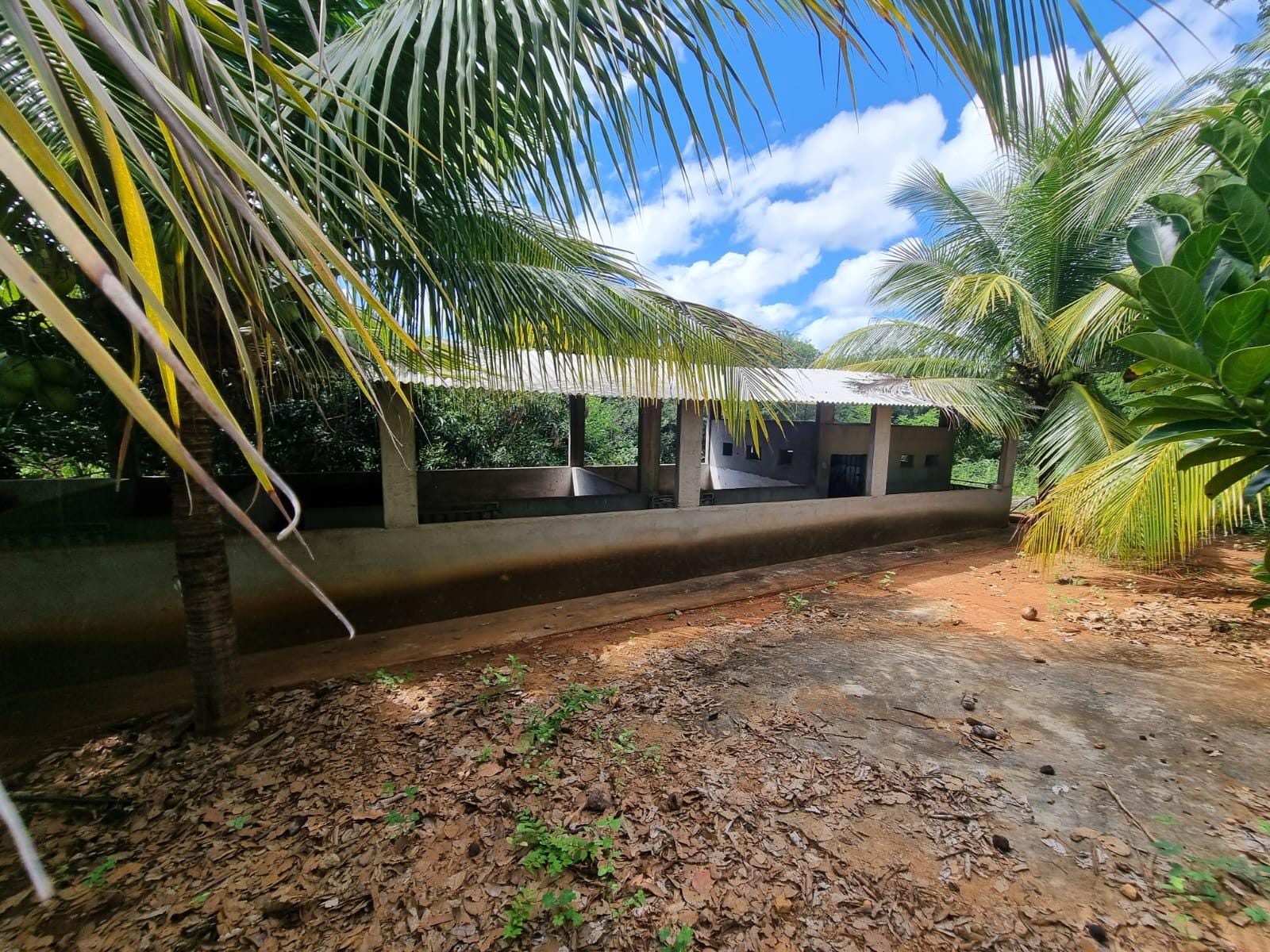 Excelente Sítio à Venda em Caraíbas – 3 Hectares, Casa e Estrutura Completa – Água em Abundância, Energia Trifásica e Documentação Regularizada - foto 40