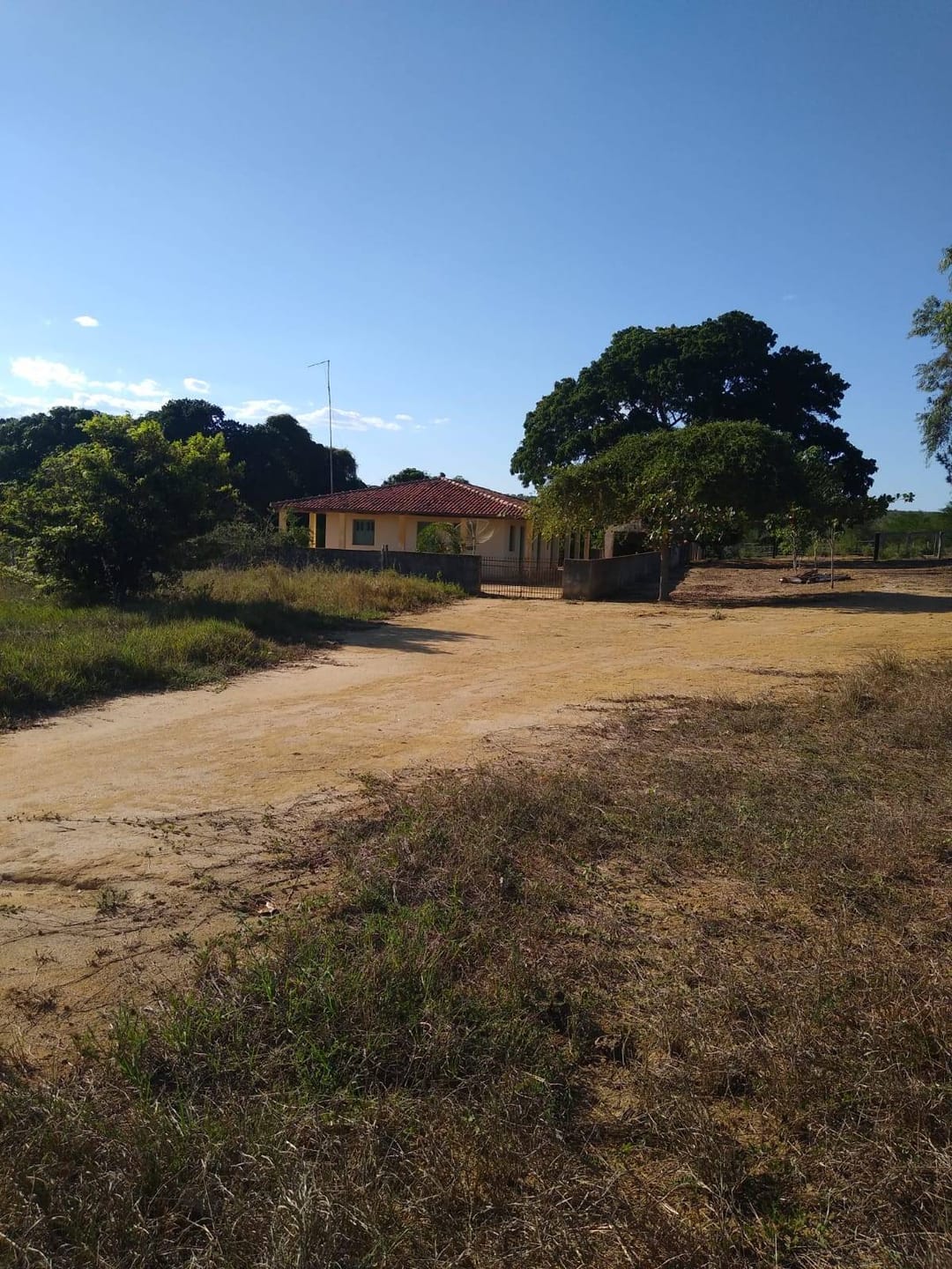 Vendo Fazenda com 726 hectares de área plana, Lagoa Preta, município de  Tremedal - BA - foto 5