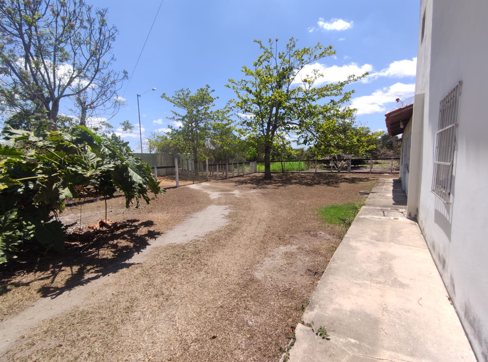 Sítio a venda na Lagoa das Flores com 2 casas, árvores frutíferas, poço artesiano, irrigação, baías para cavalos, tanque de peixe. Pertinho da ci - foto 5