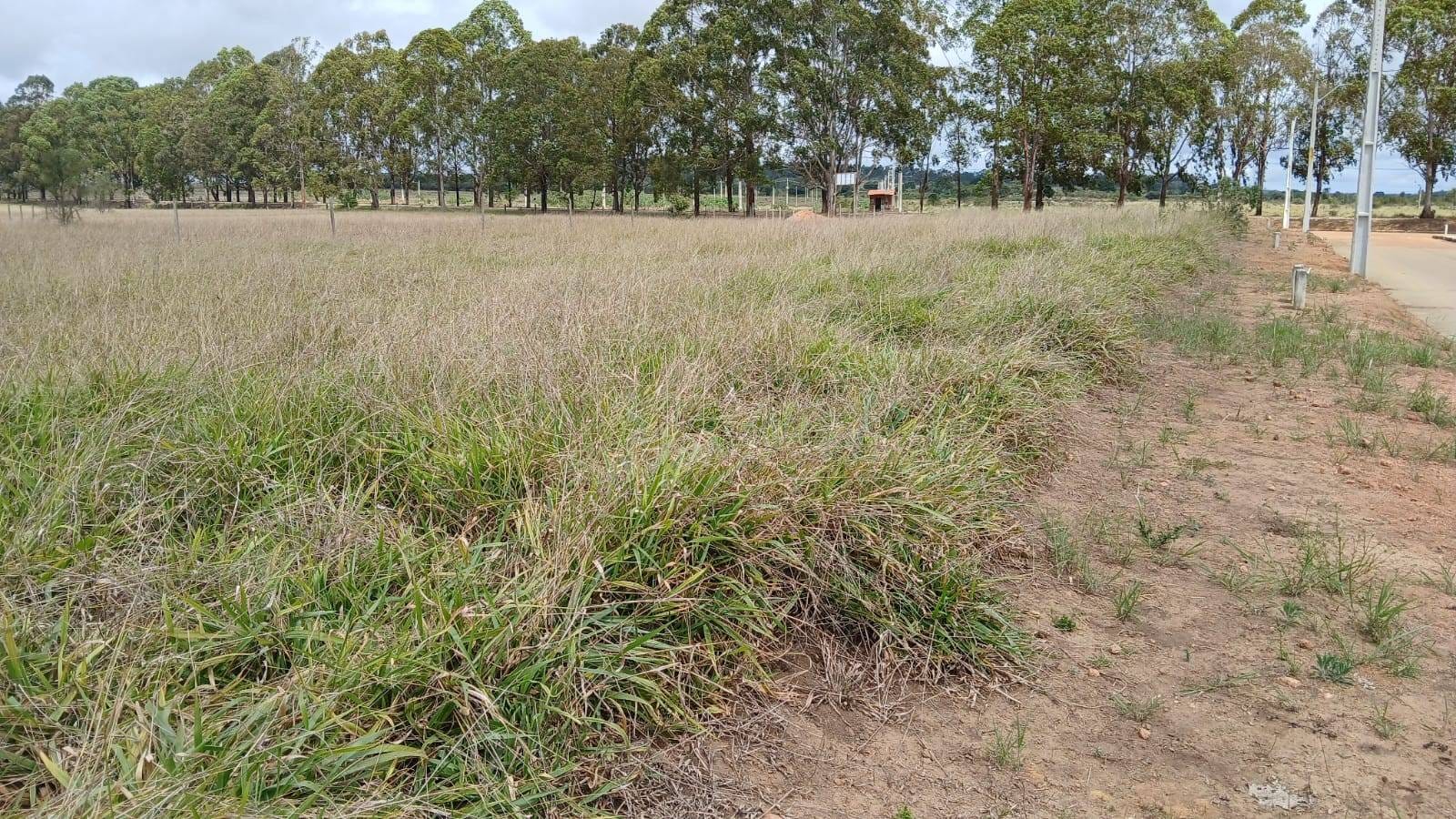 Terreno a Venda, com Parcela Ate 60 Vezes Otima Oportunidade , Bairro Cidade Jardim, Barra do Choça Ba - foto 4
