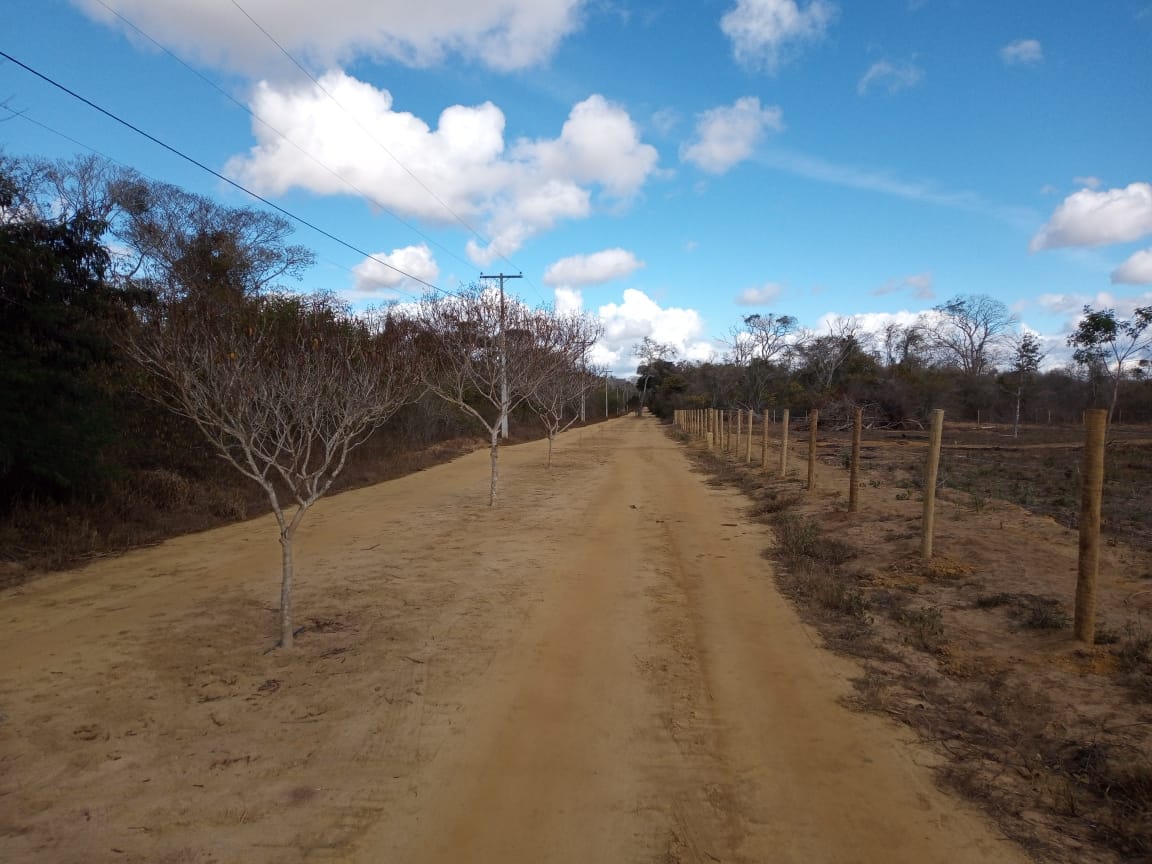 VENDO OU TROCO Sítio de 20 mil m² dentro de cond. fechado já com cerca, no Terra Estância das Rosas ao lado do Haras Residence  em Vitória da Con - foto 5