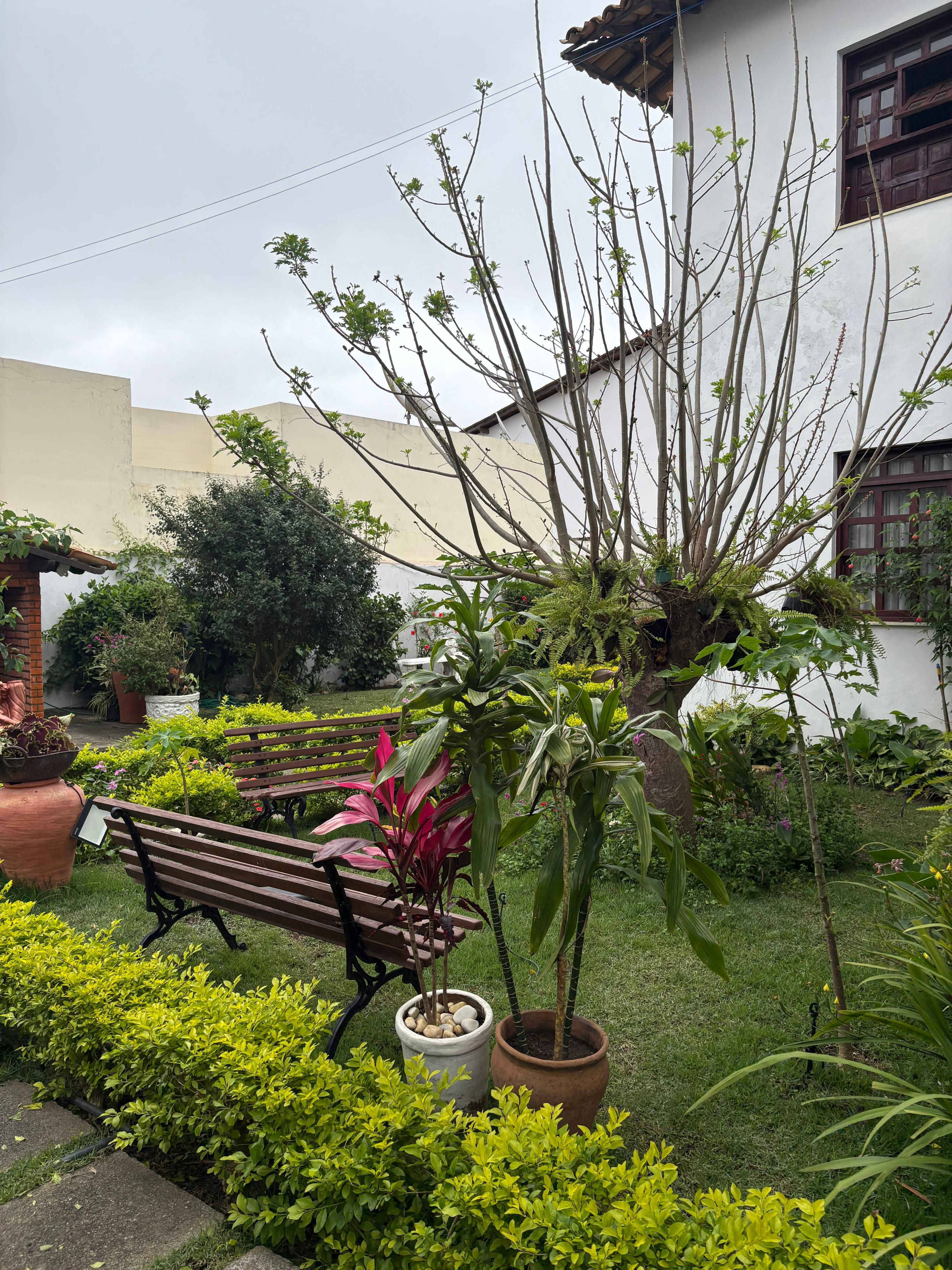 Mansão à Venda, Candeias, Vitória da Conquista, BA - foto 5
