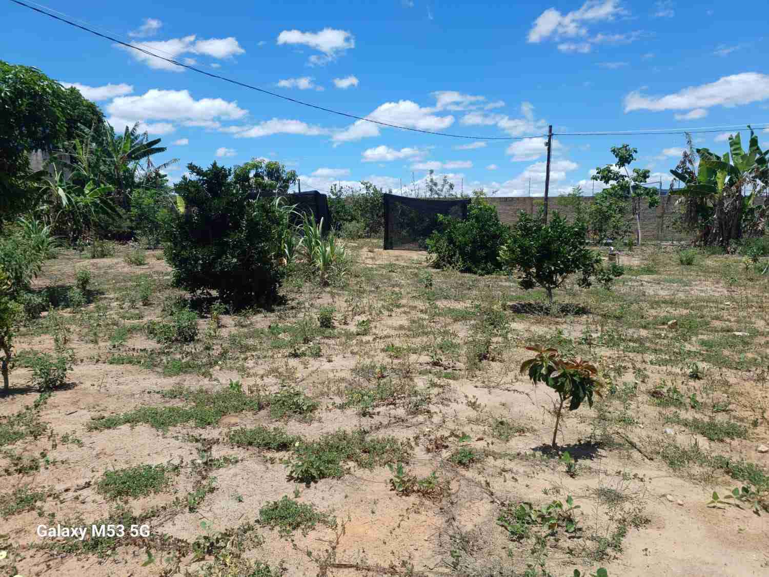 Sítio à Venda, zona Rural , São Sebastião do Passé, BA - foto 5