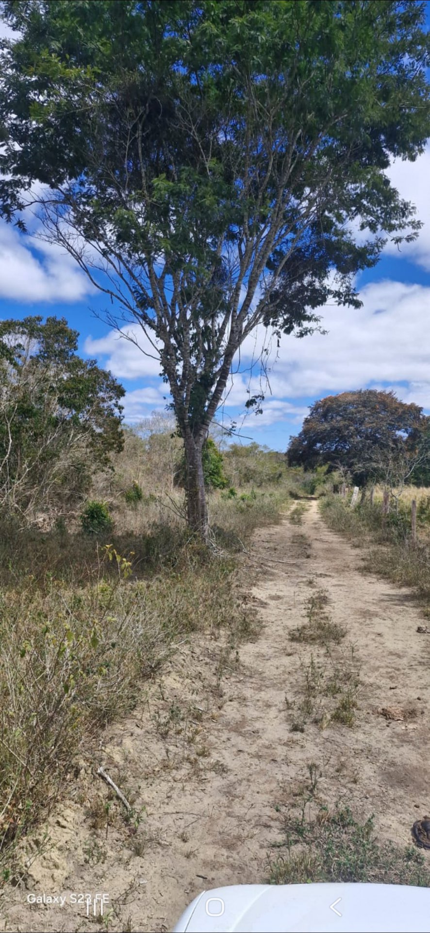 Fazenda em 112 hectares em Planalto - foto 4