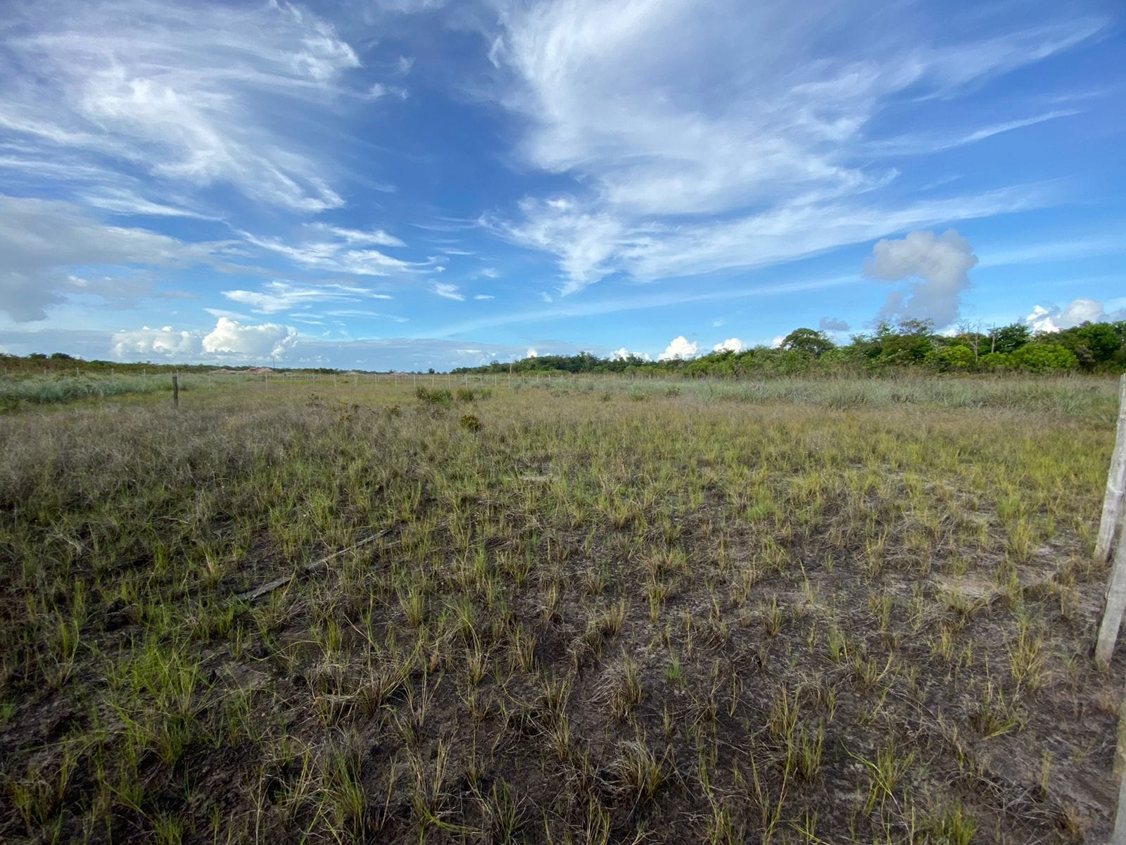 Terreno à venda, em Taipu de Fora, Península de Maraú, Barra Grande, um dos destinos mais cobiçados do Sul da Bahia. - foto 6