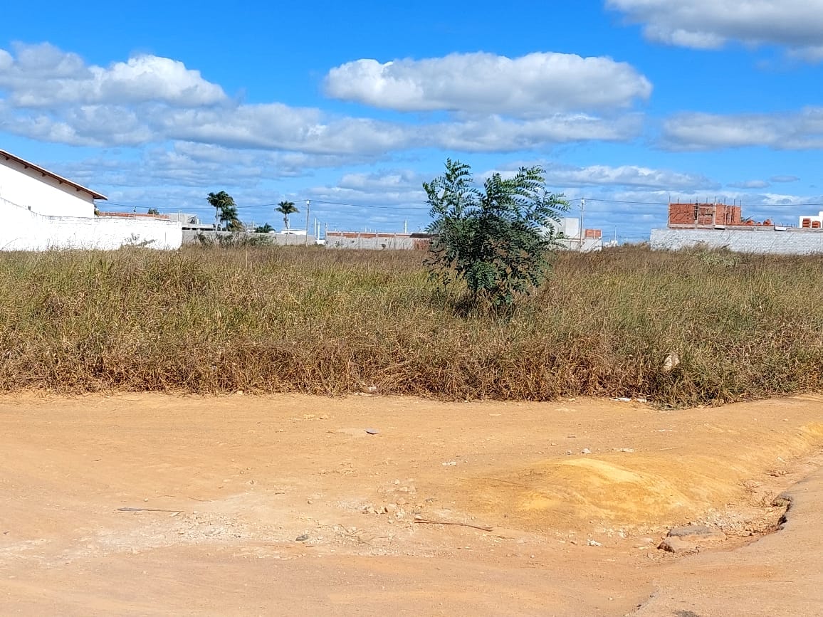 Terreno de 1.000mts de esquina no Alto da Boa Vista - foto 6