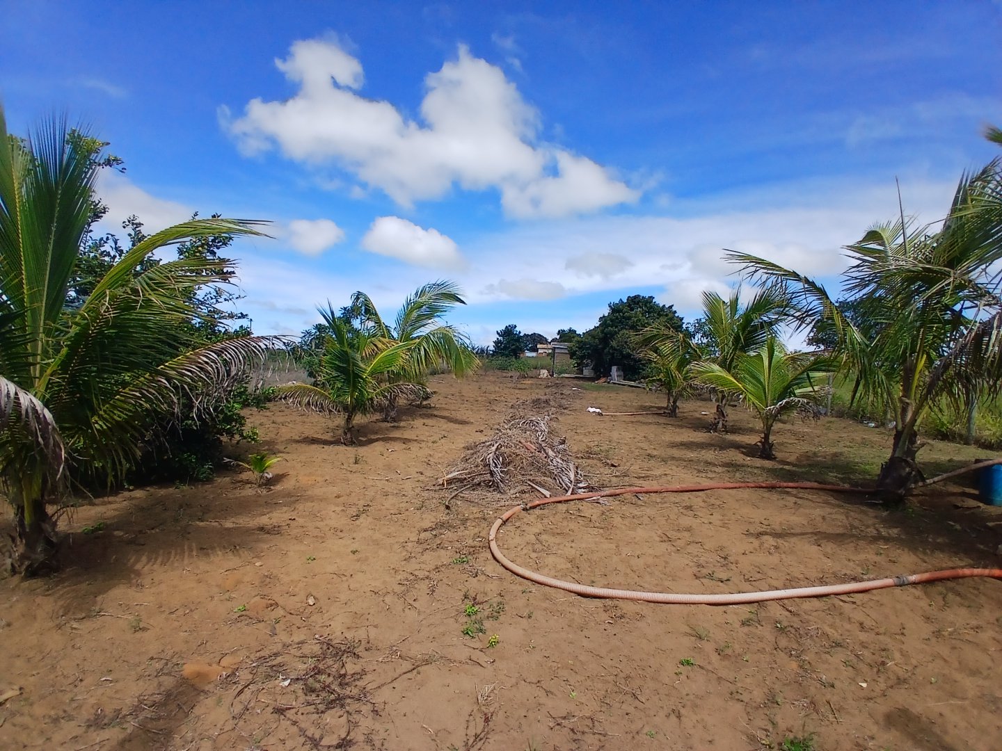 Lote 1000m² em Barra do Choça Ba. - foto 5