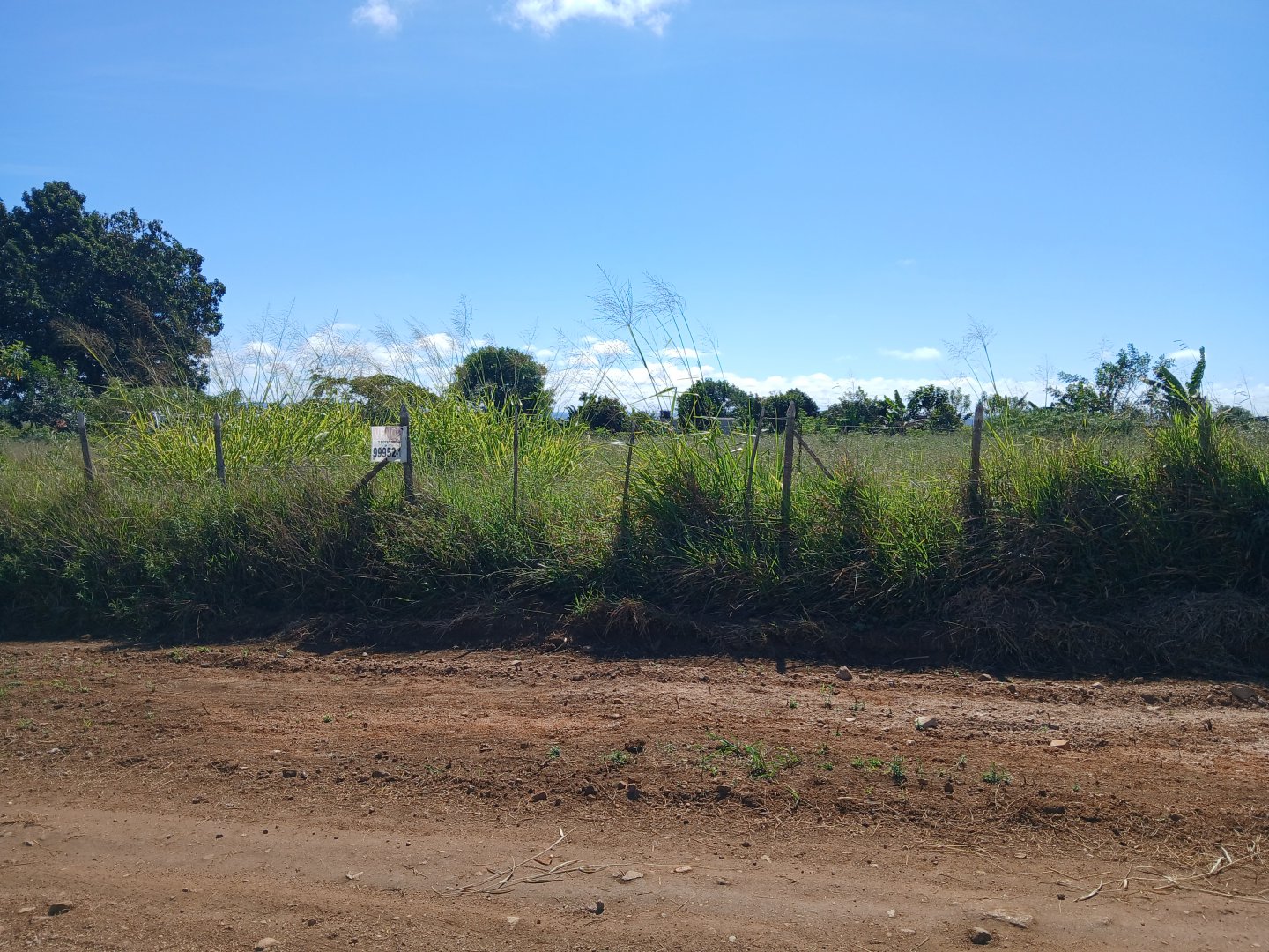 Lote 1000m² em Barra do Choça  Ba. - foto 5