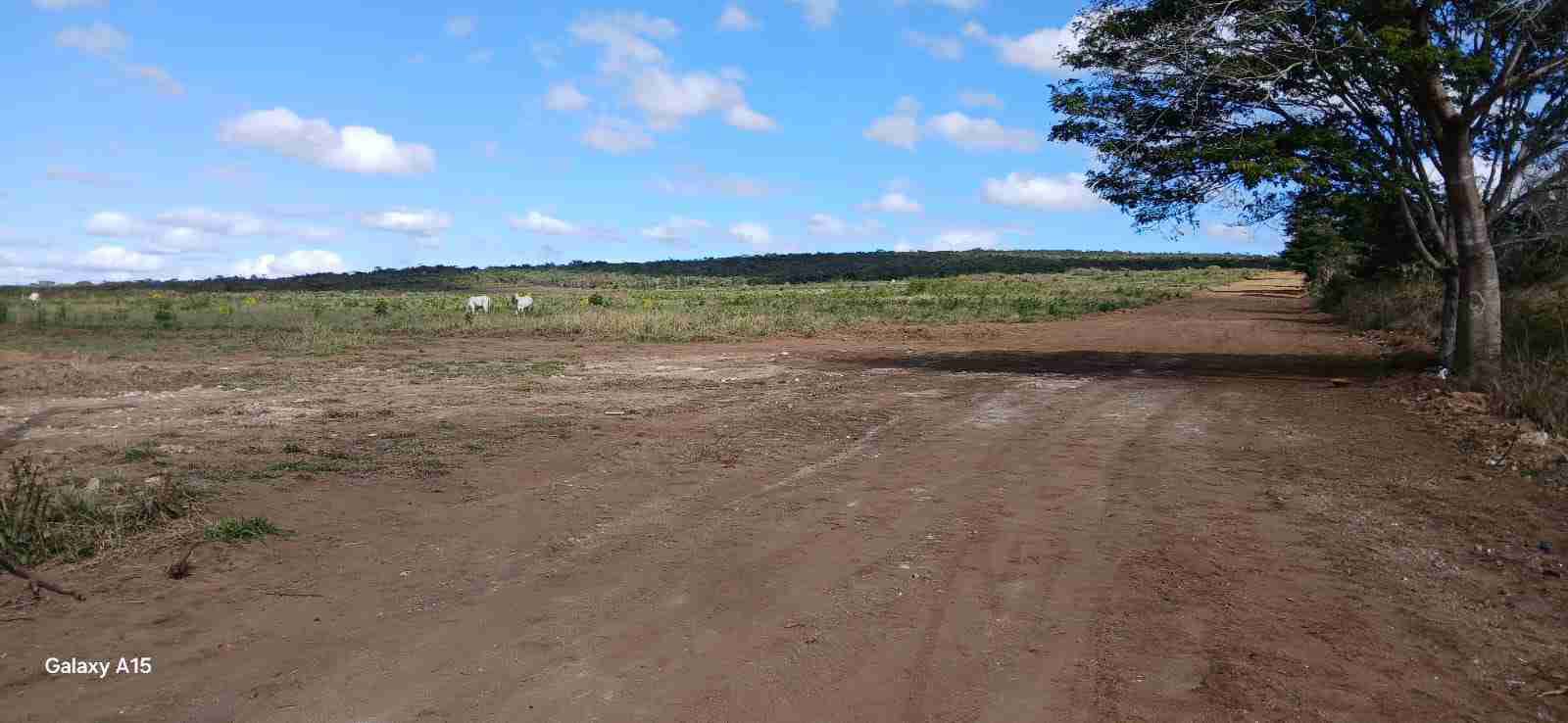 Loteamento à Venda Beira da BA 265 , Perto do Alphaville, Vitória da Conquista, BA - foto 6