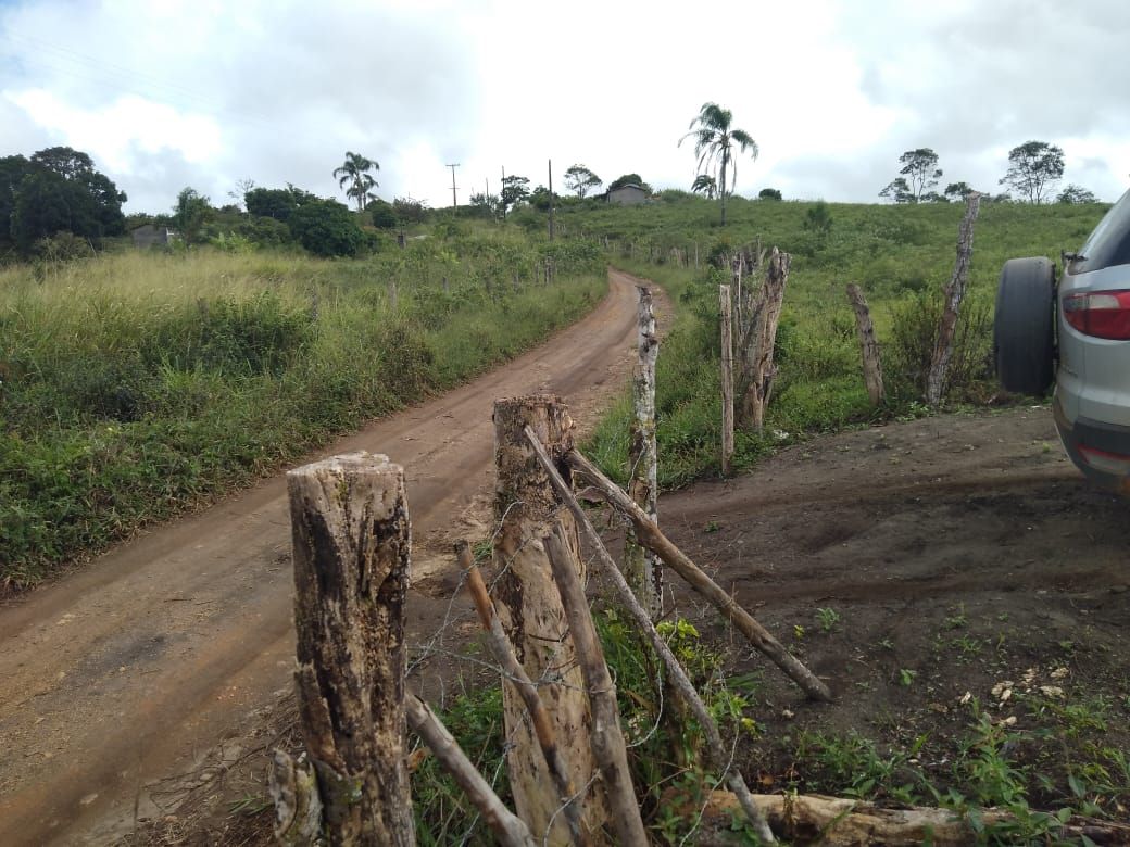 Fazenda 13,5 Hactare à Venda, Pau Brasil , Barra do Choça, BA - foto 7