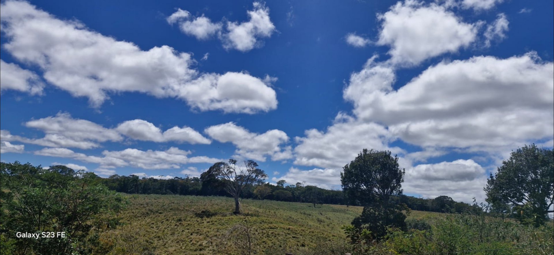 Fazenda em 112 hectares em Planalto - foto 6