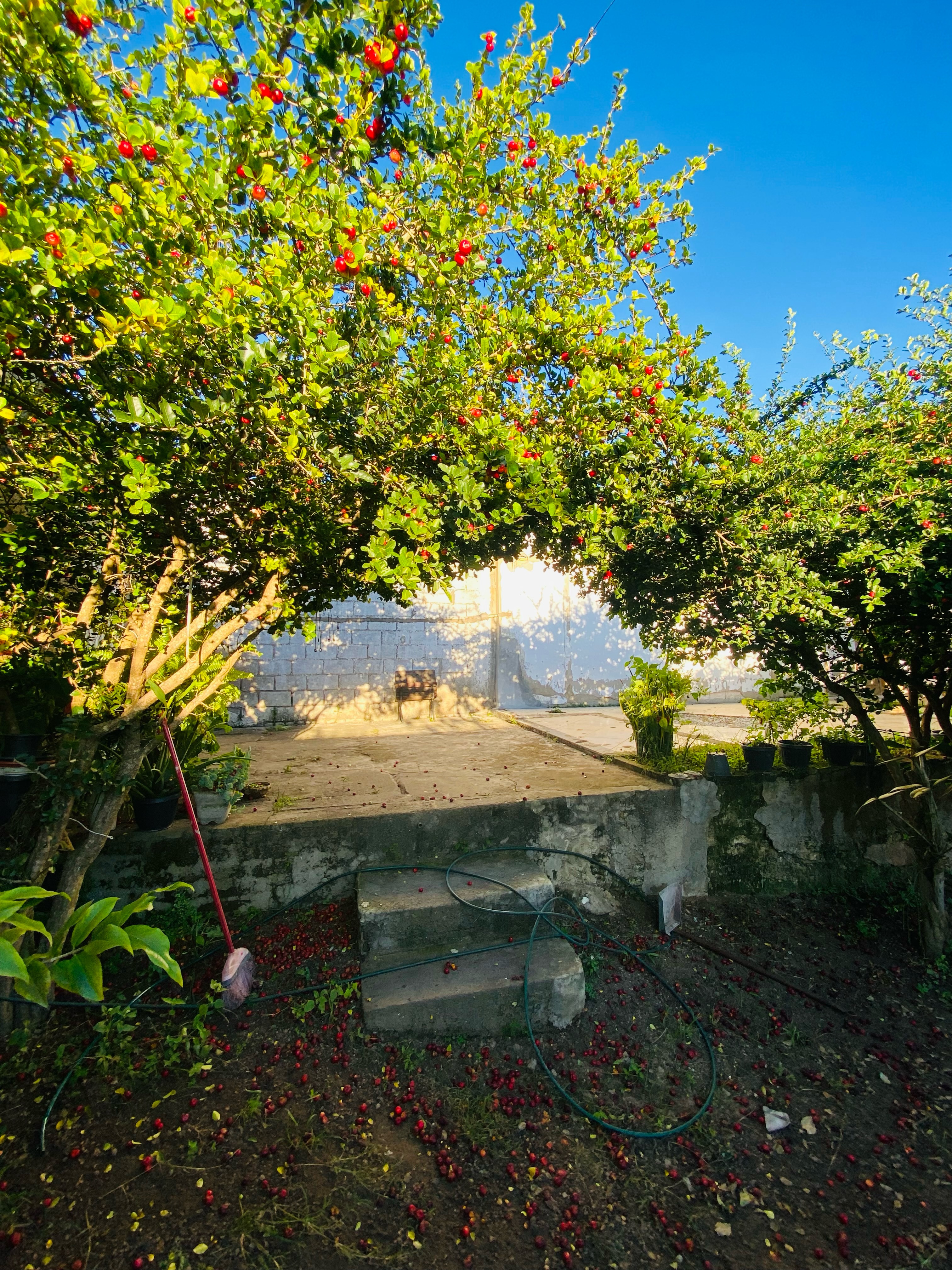 Vendo ótima casa duplex de 4 quartos, sendo 3 suítes, garagem para 5 carros,  Vitória da Conquista, BA - foto 6