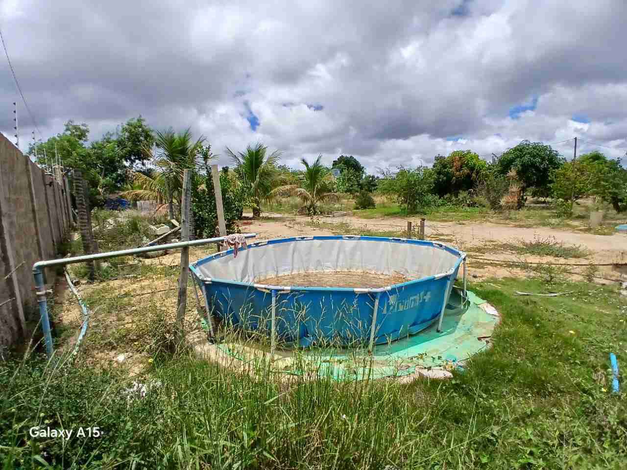 Sítio à Venda, zona Rural , São Sebastião do Passé, BA - foto 7