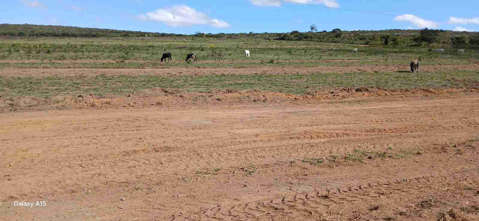 Lote à Venda com  área 8 mil metros quadrados na Rodovia Barra do Choça, Estiva , Vitória da Conquista, BA - foto 7