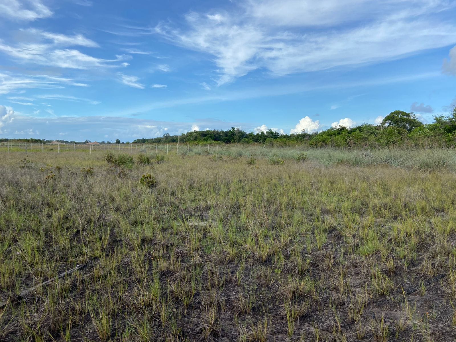 Terreno à venda, em Taipu de Fora, Península de Maraú, Barra Grande, um dos destinos mais cobiçados do Sul da Bahia. - foto 7