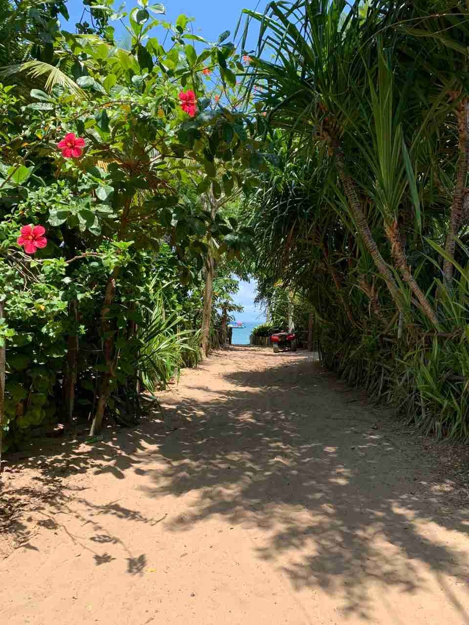 Casa, terreno à Venda Em Barra Grande, Vila, Maraú, BA - foto 6