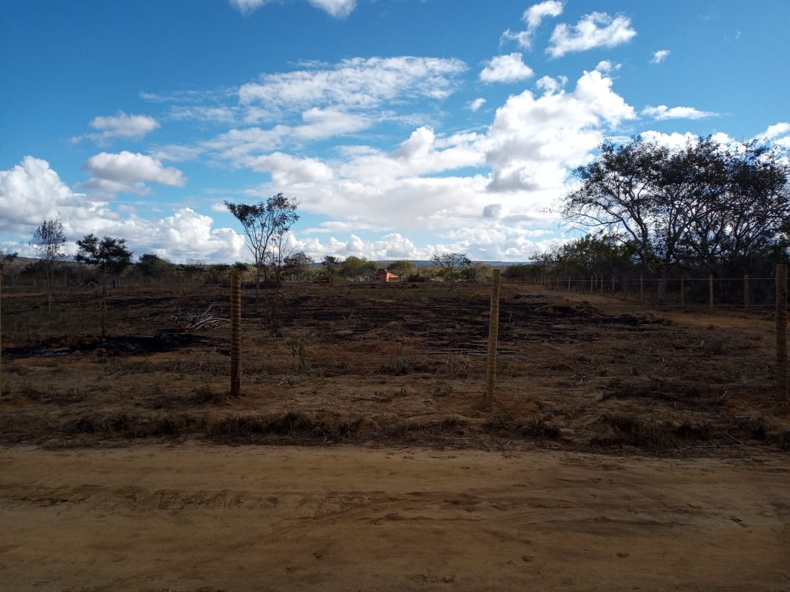 VENDO OU TROCO Sítio de 20 mil m² dentro de cond. fechado já com cerca, no Terra Estância das Rosas ao lado do Haras Residence  em Vitória da Con - foto 7