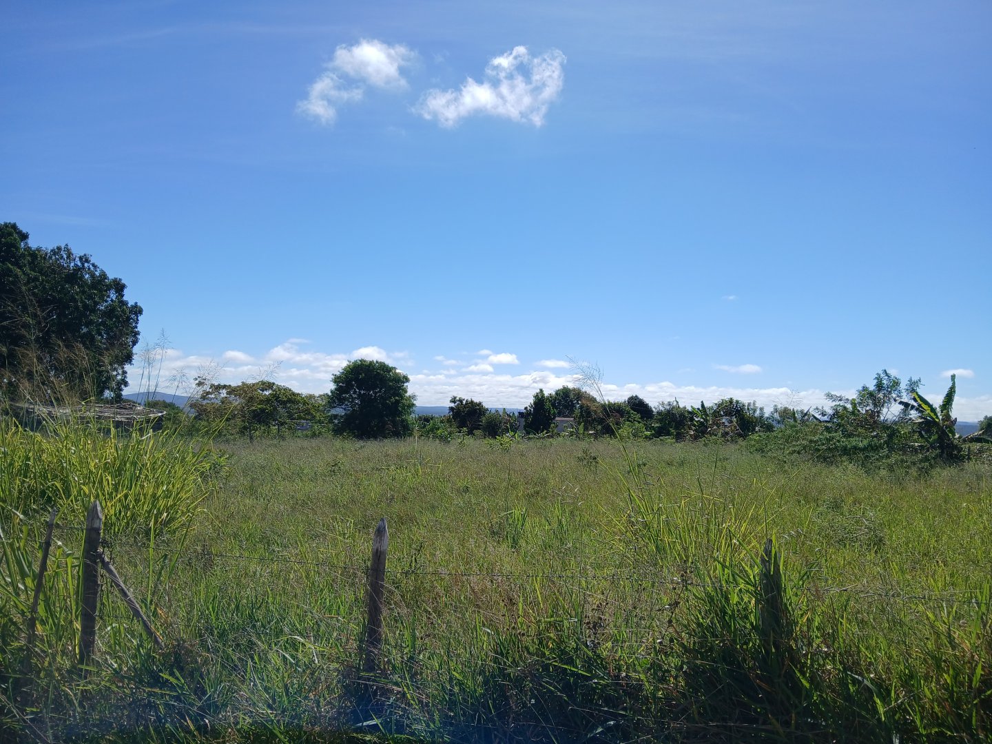 Lote 1000m² em Barra do Choça  Ba. - foto 6