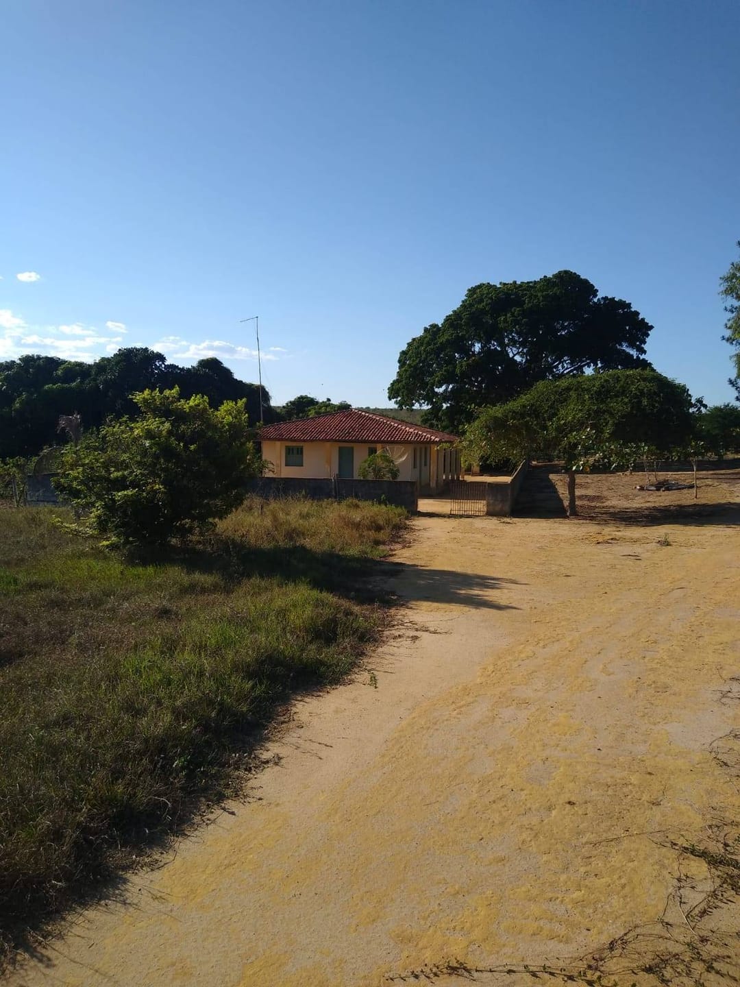 Vendo Fazenda com 726 hectares de área plana, Lagoa Preta, município de  Tremedal - BA - foto 8
